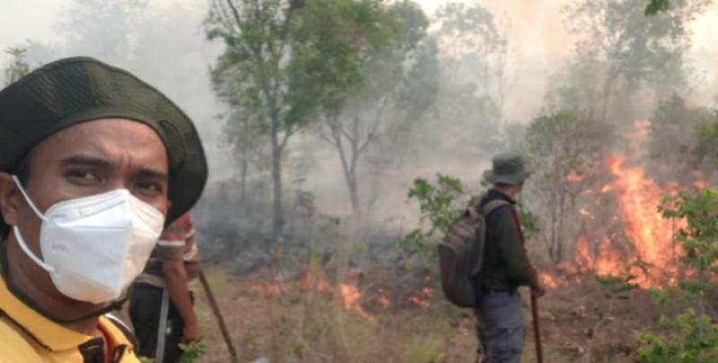 Kebakaran Hutan Gunung Agung Membesar, 400 Hektar Lahan Hangus Terbakar ...